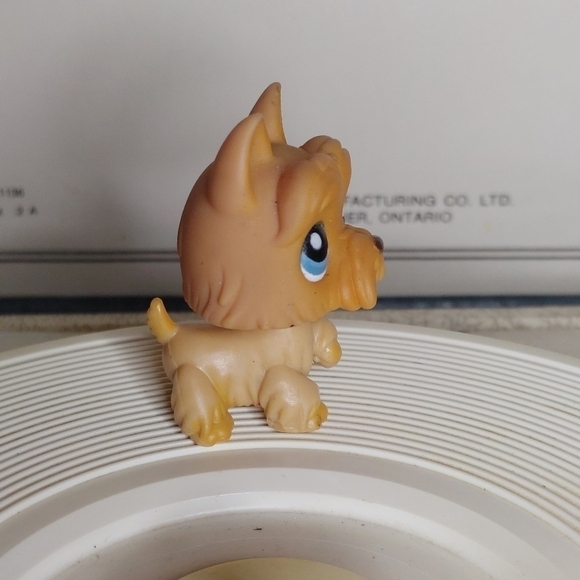 lps Scottie Dog/Puppy #249 - Picture 5 of 5